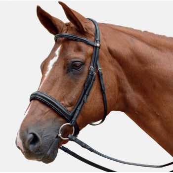Albion Super Flash Bridle With Calf Wrapped Reins