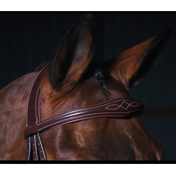 Dyon Collection Fancy Anatomic Browband