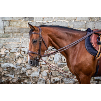 Dyon Collection Half Rope Draw Reins