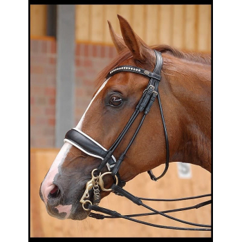 Dyon Dressage Collection White Padded Large Crank Noseband Double Bridle
