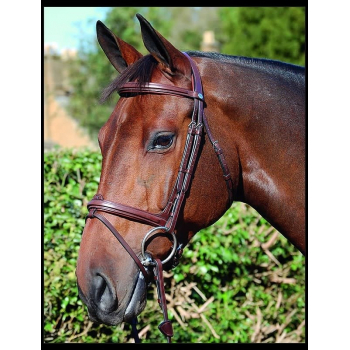 Dyon New English Collection Cavesson / Flash Bridle