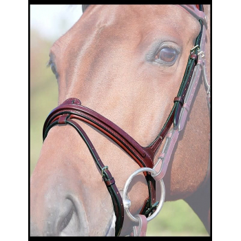 Dy'on New English Collection Cavesson / Flash Noseband