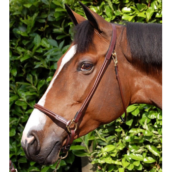Dyon Rolled Leather Grooming Headcollar