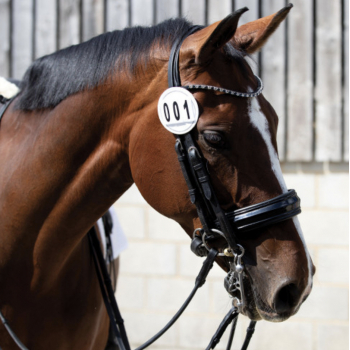 Equetech Deluxe Leather Bridle Number Holder