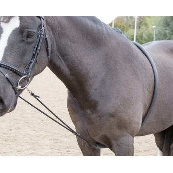 Shires Soft Lunge Aid